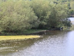 Moehnesee